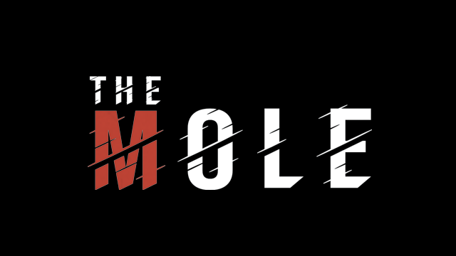 The Mole: An Augmented Boardgame Experience
